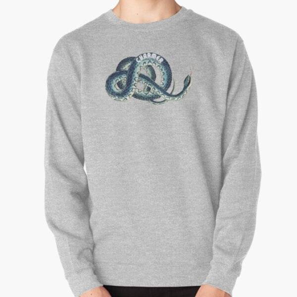 ra,sweatshirt,x1800,heather_grey,front-c,281,327,600,600-bg,f8f8f8